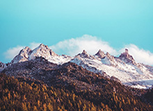 娱乐官网-阿里内部邮件回应林俊旸离职：技术发展不进则退，将持续吸纳优秀人才